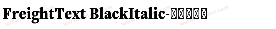 FreightText BlackItalic字体转换